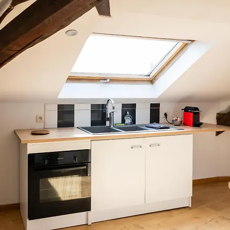 Nid D'aigle De Centre?6 Places?lumineux? Appartement *